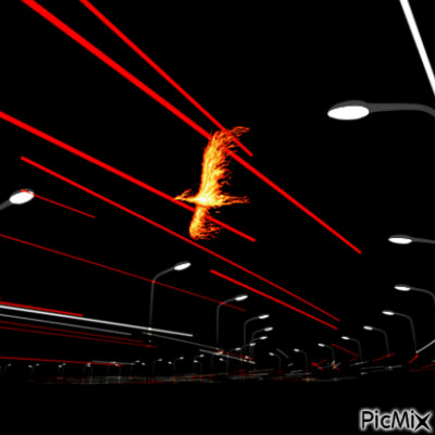 phoenix in the city - GIF animasi gratis