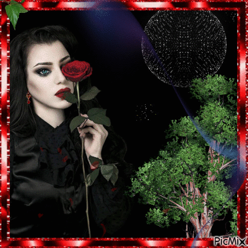 la última rosa roja para Sofía..!! - Free animated GIF