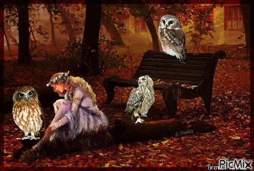 autumn owl - png gratuito
