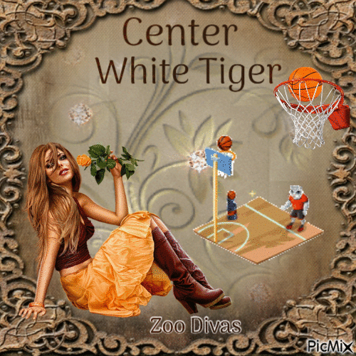 Center White Tiger - Zdarma animovaný GIF