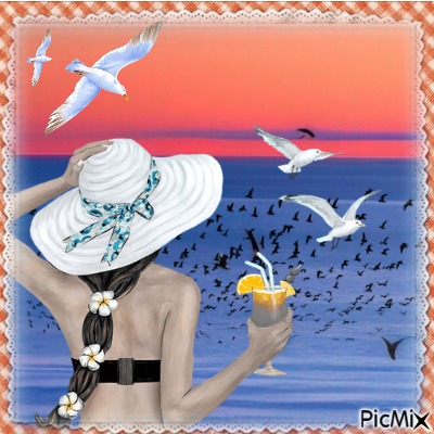 seagulls - PNG gratuit
