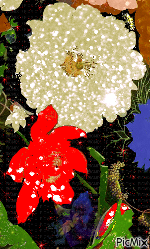 цветочные натюрморты - Darmowy animowany GIF