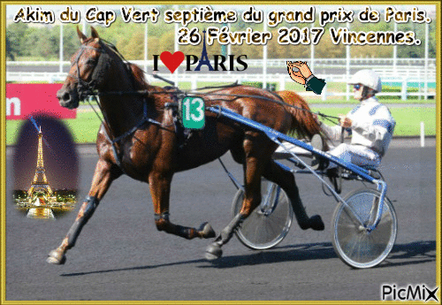 Le champion Akim du Cap Vert. - Bezmaksas animēts GIF