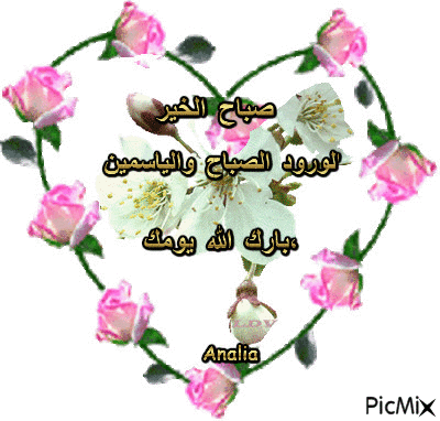 الورود الصباح والياسمين *  بارك الله يومك، - Zdarma animovaný GIF
