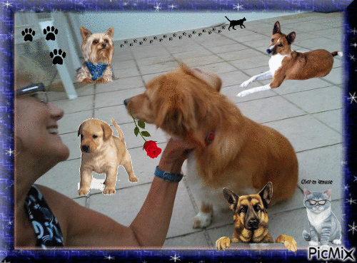 mes chiens - Free animated GIF