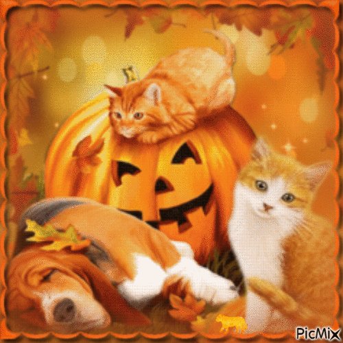 Halloween pets- so cute,or not? - GIF animado grátis