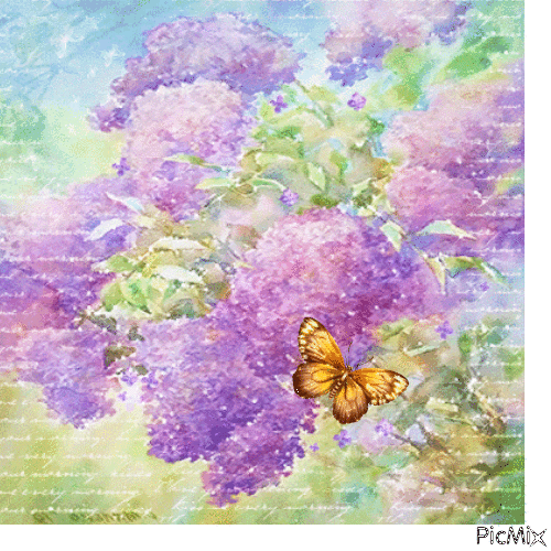 spring - Безплатен анимиран GIF
