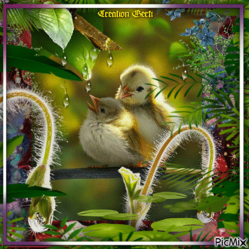 Nature portrait with birds - Free animated GIF