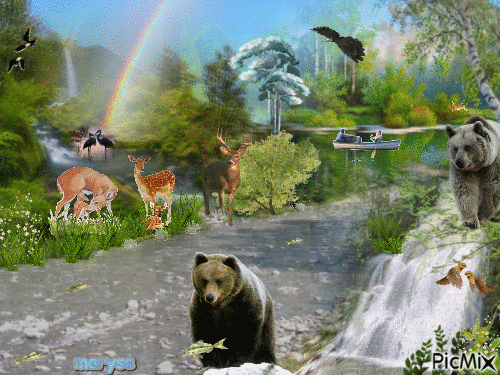 nature et animaux - Безплатен анимиран GIF