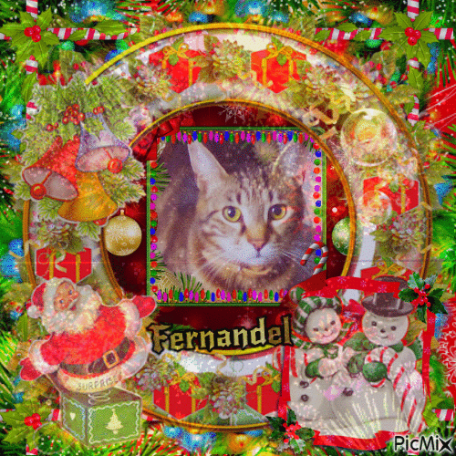 Mon petit chat Fernandel - GIF animate gratis