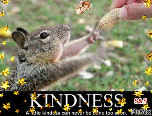 kindness - Gratis animeret GIF