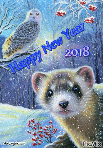 Happy New Year 2018 - Darmowy animowany GIF