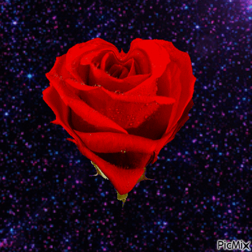 Flowering Heart - 免费动画 GIF