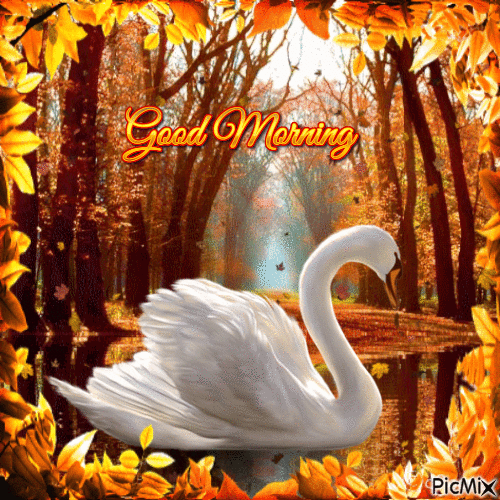 Good Morning Autumn Swan - GIF animé gratuit