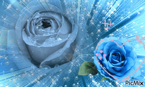 Rosa Azul - Gratis animeret GIF