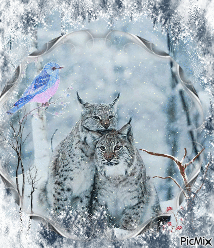 Wildlife in nature - Безплатен анимиран GIF