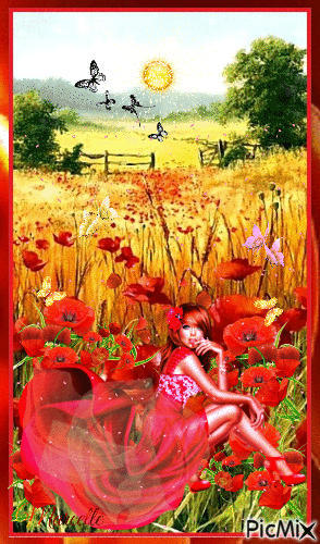 💐LES COQUELICOTS💐 - Free animated GIF