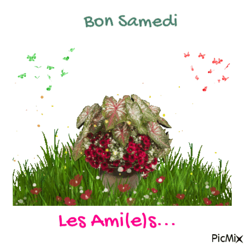 bon samedi - Бесплатни анимирани ГИФ