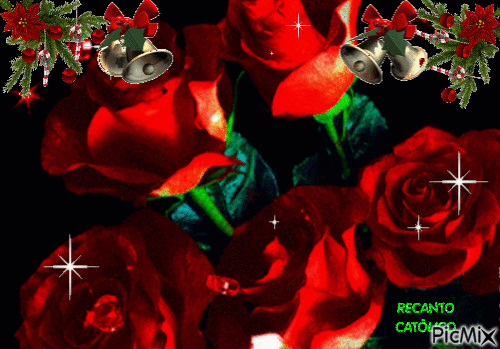 rosas - Gratis animeret GIF