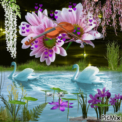 Swan in the lake - Nemokamas animacinis gif