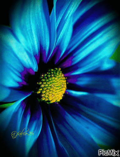 BLUE FLOWER - Gratis animeret GIF