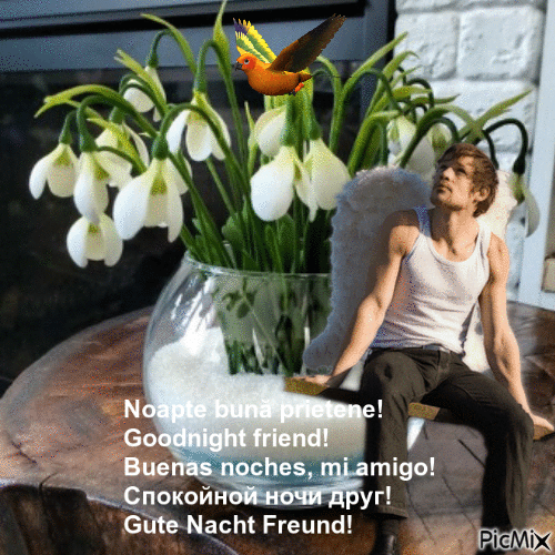 Goodnight friend!tt - GIF animé gratuit