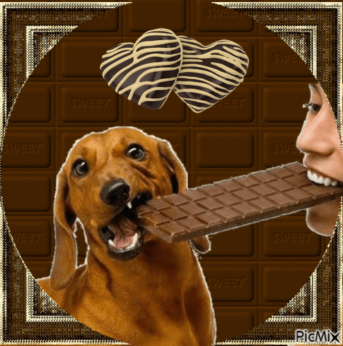 CHOCOLATE - Gratis animeret GIF