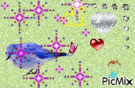 bird - Безплатен анимиран GIF