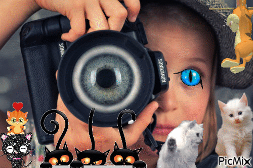 Eye C is for Cats! - GIF animasi gratis