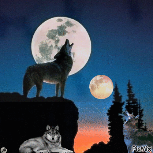 Tres lobos, dos lunas - Gratis geanimeerde GIF