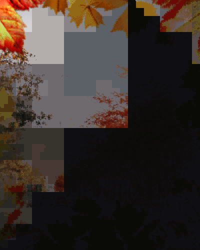 Fall in NYC  🙂 - 無料のアニメーション GIF