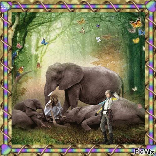 pamper the elephants - GIF animé gratuit