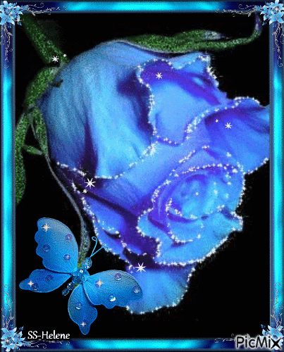 Blue rose. - Gratis animerad GIF