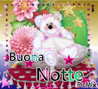 Notte ! - Free animated GIF