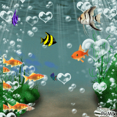 Fish - Besplatni animirani GIF