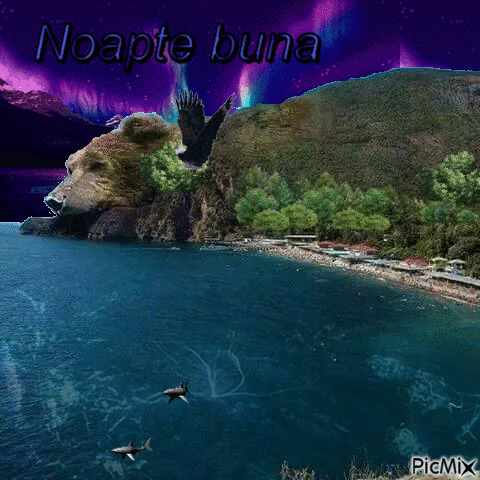 NOAPTE BUNA - Free animated GIF