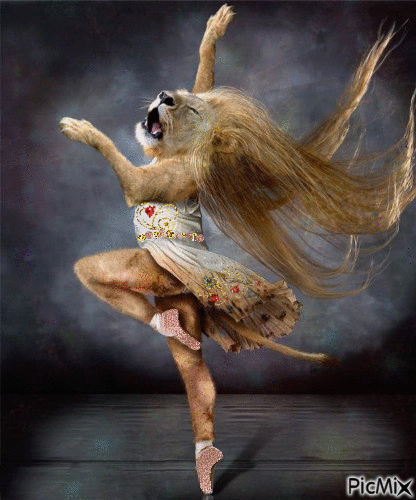 Ballet lion - GIF เคลื่อนไหวฟรี