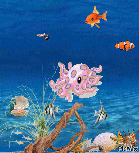 blue-ringed octopus - 無料のアニメーション GIF