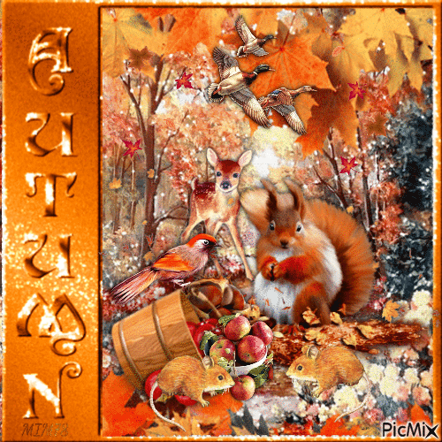 Automne, pommes, oiseaux, souris et écureuils - Ücretsiz animasyonlu GIF