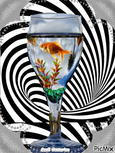 Taça com peixe - Безплатен анимиран GIF