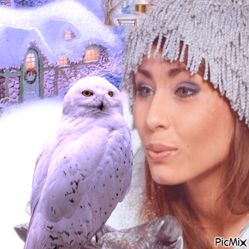 Beautiful winter owl - фрее пнг
