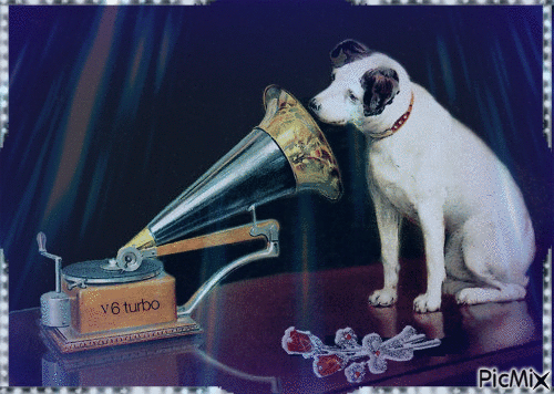 His Master's voice - Free animated GIF