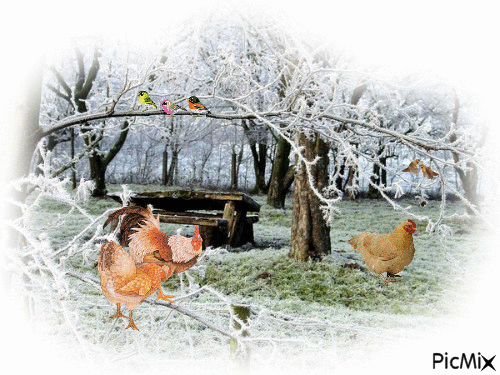 joli couleurs d hiver - Δωρεάν κινούμενο GIF