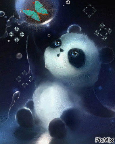 medvídek - Darmowy animowany GIF