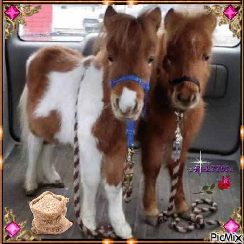Two pretty ponies  2-18-22  by xRick7701x - GIF animé gratuit