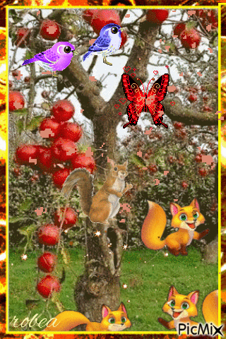 Les écureuils aiment les pommes - GIF animado gratis