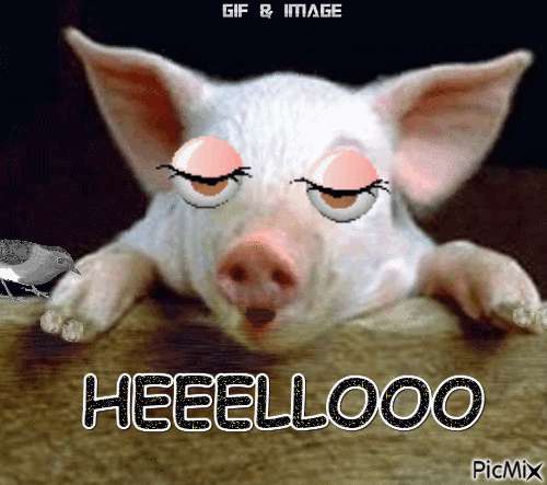 heelllooo - Bezmaksas animēts GIF