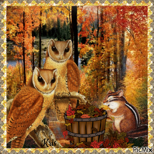 Hibou d'automne - Free animated GIF