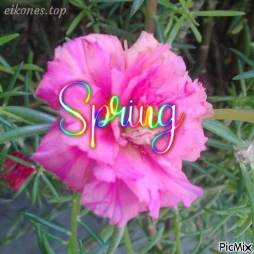 Spring.! - PNG gratuit