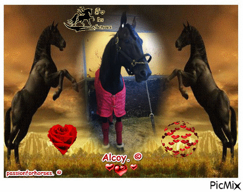 Le champion Alcoy. © - Бесплатный анимированный гифка